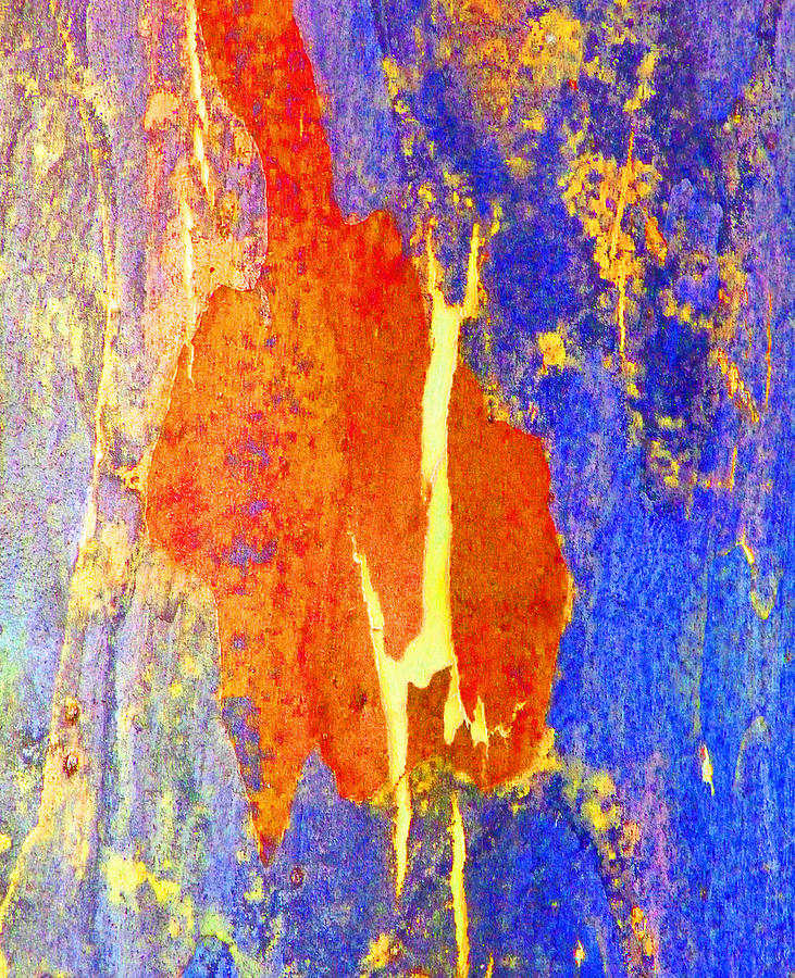 Spring Eucalypt Abstract 5 Photograph by Margaret Saheed