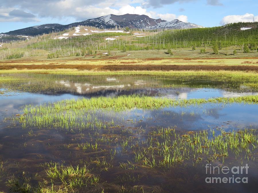 Yellowstone National Park Photograph - Spring Evening on the Gallatin by Harriet Peck Taylor