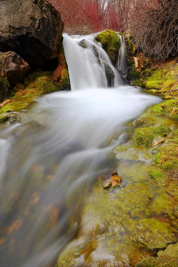 Spring Falls Photograph by David Andersen