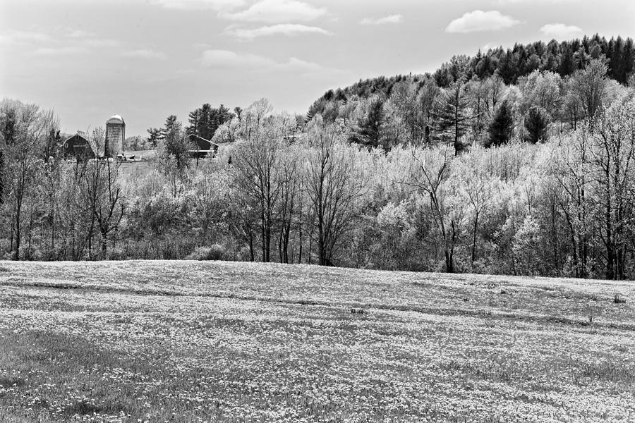 Spring Photograph - Spring Farm Landscape With Dandelions in Maine by Keith Webber Jr