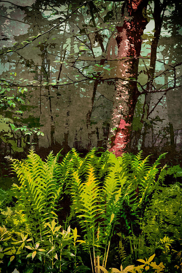 Spring Ferns of the Blue Ridge 3 AP Painting by Dan Carmichael