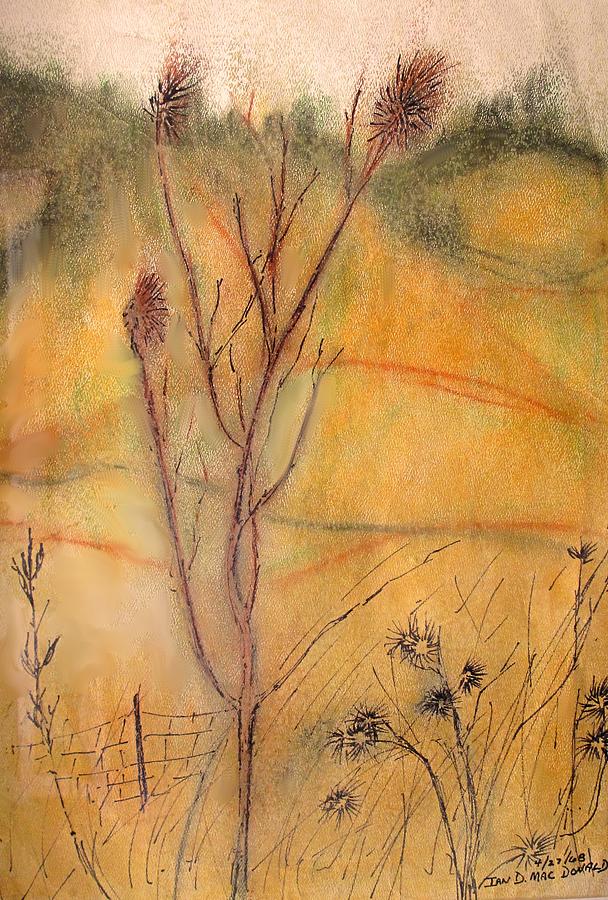 Spring Fields Drawing by Ian  MacDonald