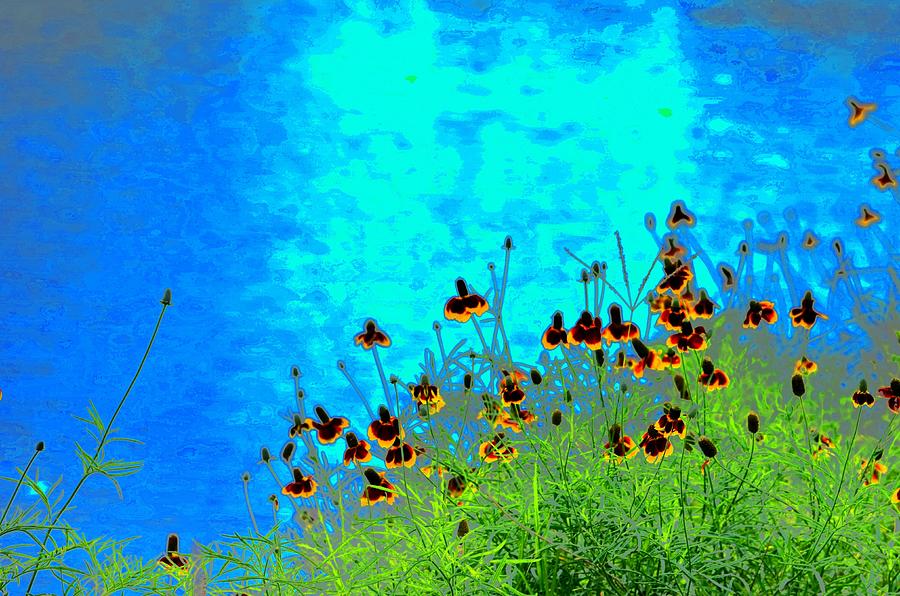Abstract Photograph - Spring Fling by Debbie Summers