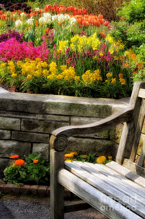 Flower Photograph - Spring Flower Bed and Bench by Julie Palencia