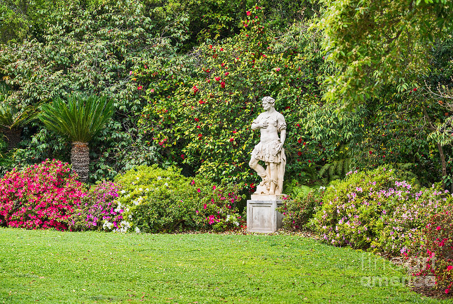 Spring flower blooms at the North Vista Lawn of the Huntington Library ...