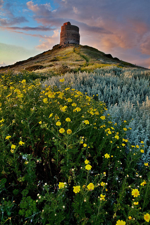 Spring Flower Field With Trail To Castle Tower Photograph by Dirk Ercken