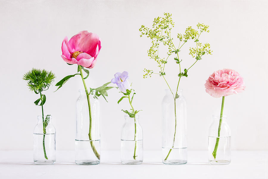 Spring flowers in glass vases Photograph by Juste Pixx