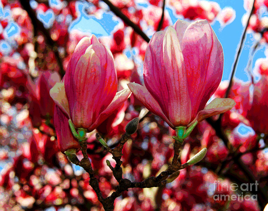 Spring Flowers Photograph by Larry Oskin