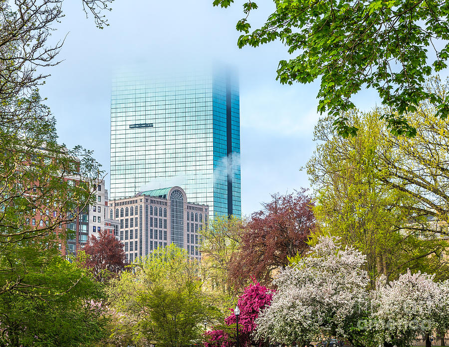 Boston Photograph - Spring Fog by Susan Cole Kelly