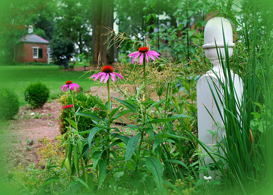 Spring Garden at Wheatland Photograph by Mary Beth Landis