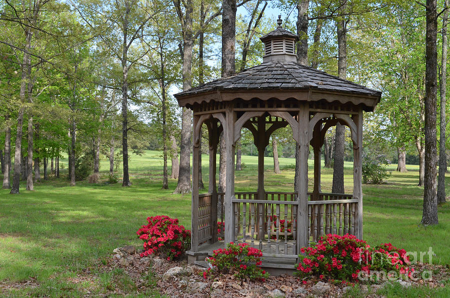 Spring Gazebo Photograph by Debbie Portwood Fine Art America
