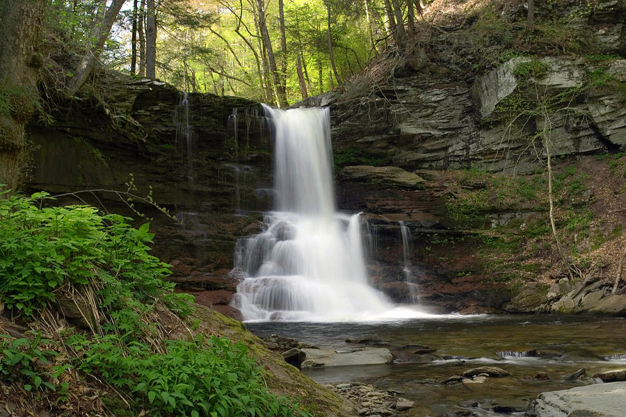 Spring Green Emerges At Sheldon Reynolds Waterfall Photograph by Gene Walls