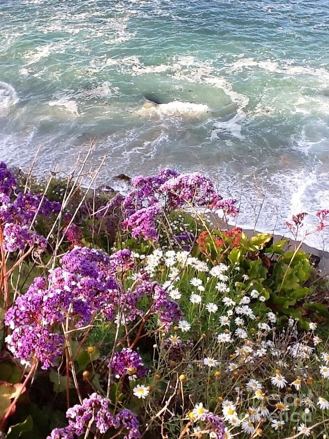 Spring Greets Waves Photograph by Susan Garren