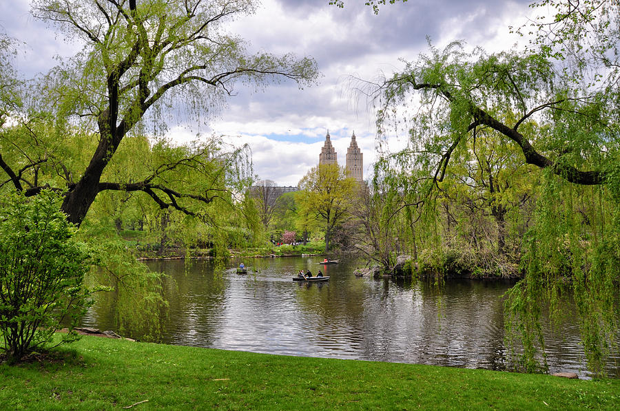 Spring in Central Park - New York Photograph by Bruce Friedman