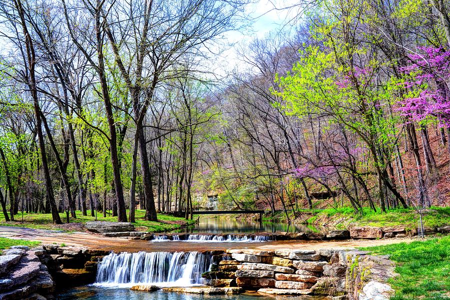 Spring in Dogwood Canyon Photograph by Jean Hutchison