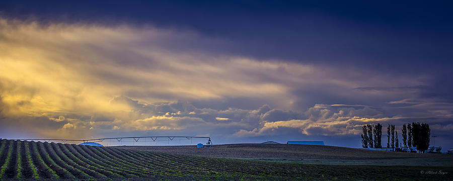 140427A-037 Spring in Eastern Oregon Photograph by Albert Seger