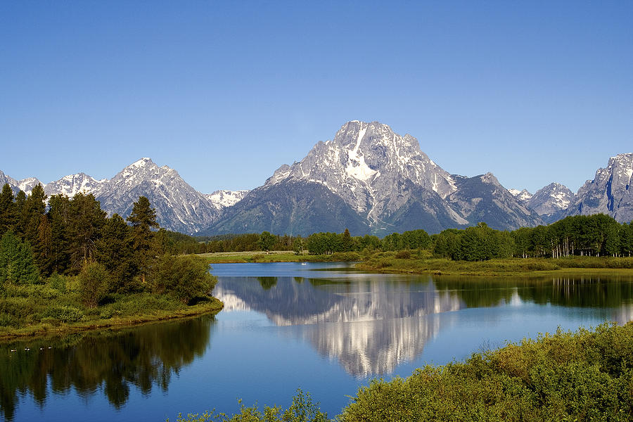 Spring In Grand Teton Photograph by Bryant Aardema | Fine Art America