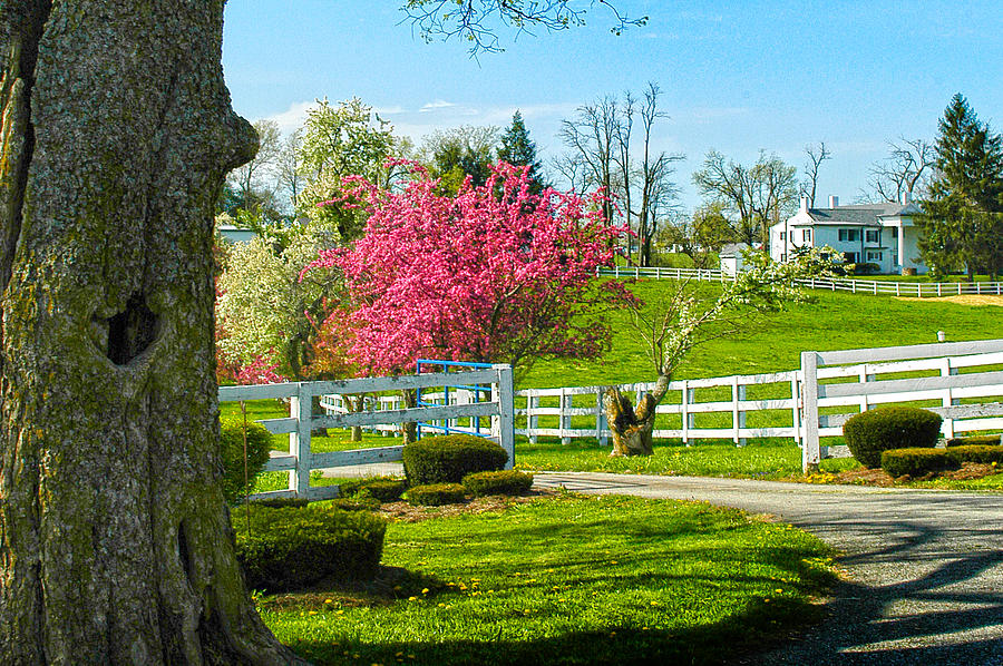 Hotel Photograph - Spring In Kentucky by Randall Branham