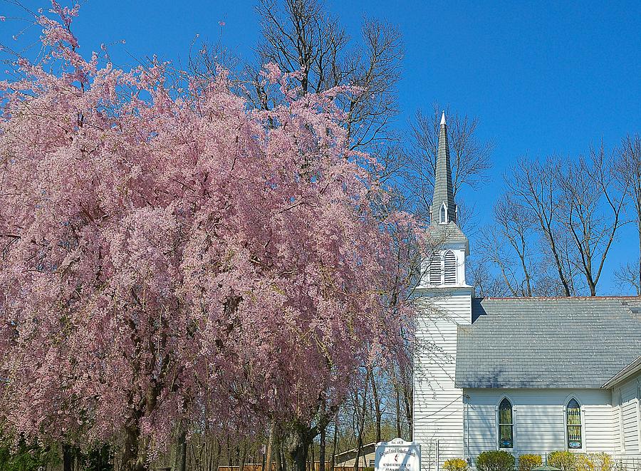 Spring Photograph - Spring in Kingston by Steven Richman