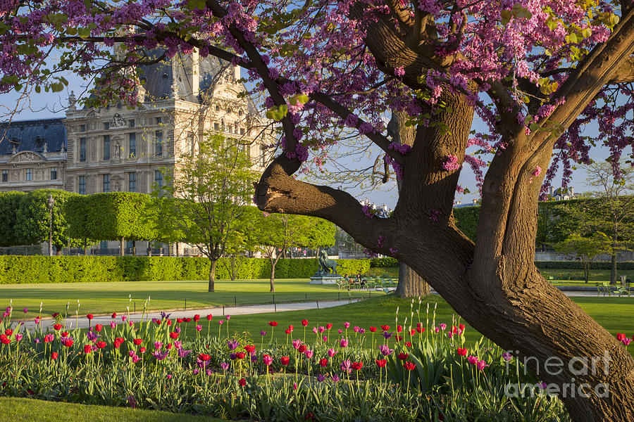 Spring in Paris Photograph by Brian Jannsen