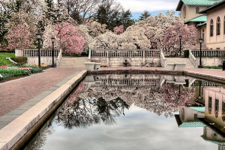 Magnolia Movie Photograph - Spring in the Garden by JC Findley