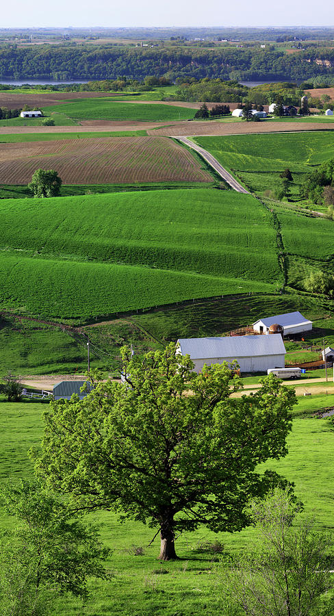 Spring In The Mississippi River Valley Photograph by Panoramic Images