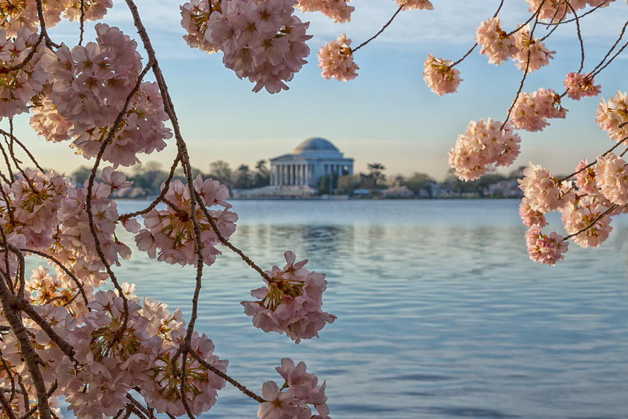 Spring in the Nations Capital Photograph by Jared Perry 