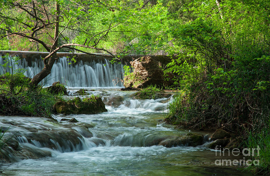 Waterfall Photograph - Spring in the Panther Falls by Iris Greenwell