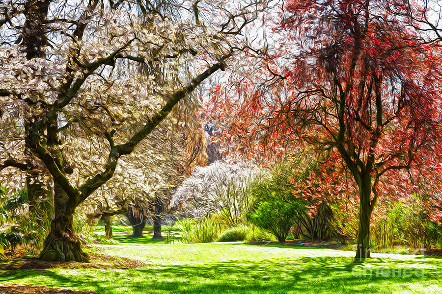 Spring Photograph - Spring in the Park by Colin and Linda McKie