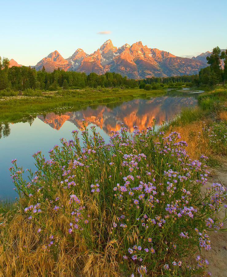 Spring in the Tetons Photograph by Todd Roach - Fine Art America