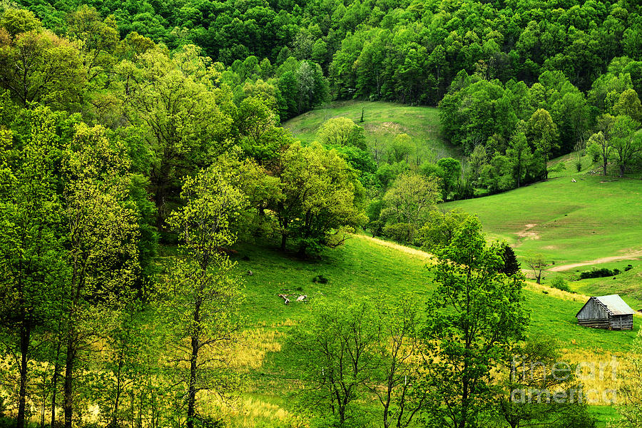 Spring In West Virginia Photograph By Thomas R Fletcher