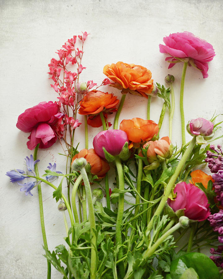 Spring Flowers Photograph - Spring Joy by Lupen Grainne