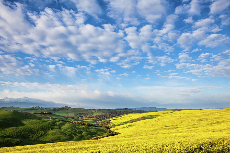 Spring Landscape And Canola Fields Photograph by Deimagine