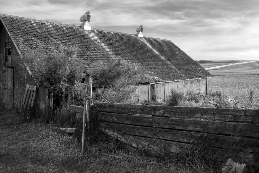 Barn Photograph - Spring Light - Black and White by Nikolyn McDonald
