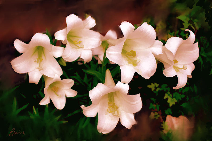 Spring Lillies Digital Art by Bonnie Willis