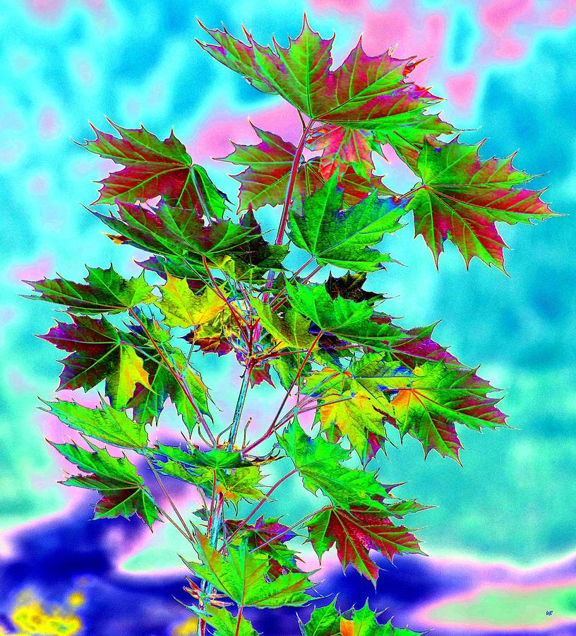 Spring Maple Leaf Design Digital Art by Will Borden