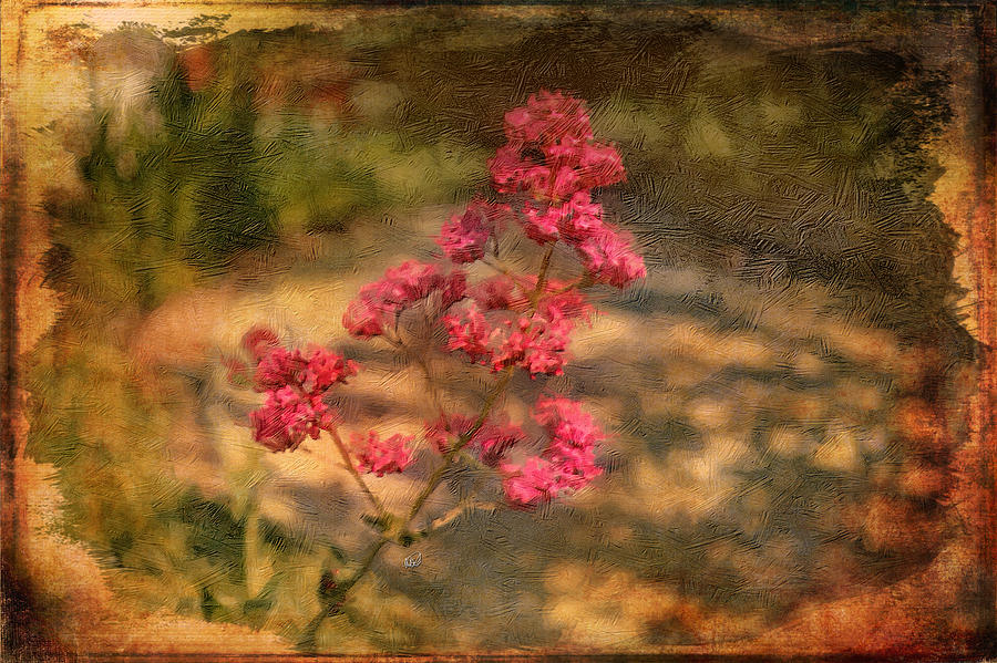 Flowers Still Life Painting - Spring Mignonette Flower by Angela Stanton