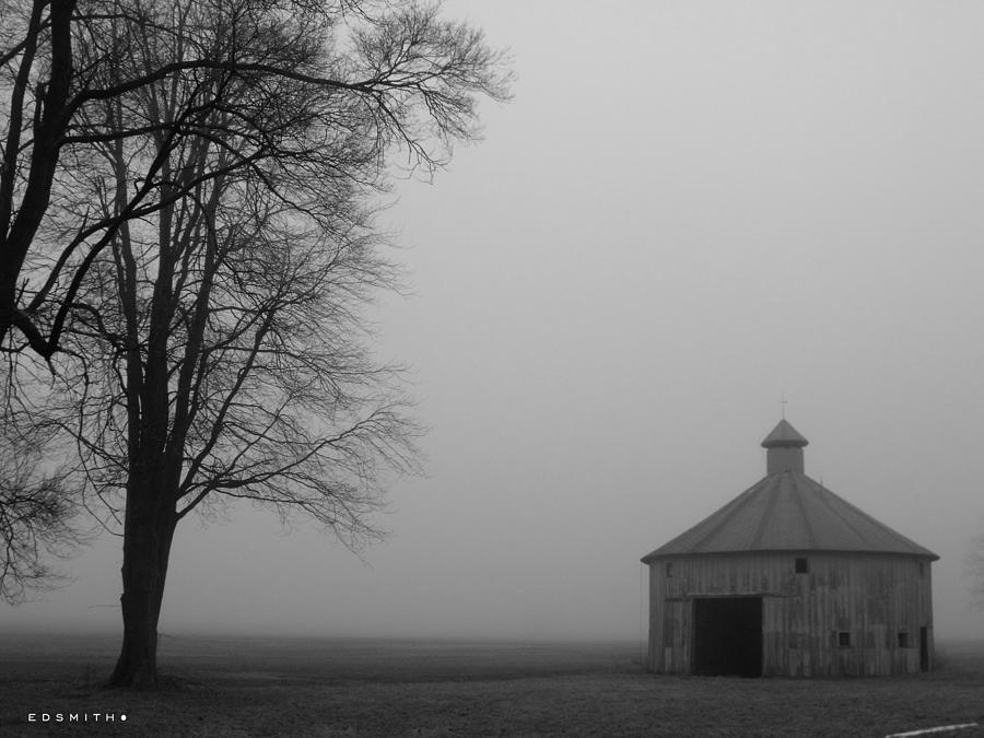 Spring Mist Photograph by Edward Smith