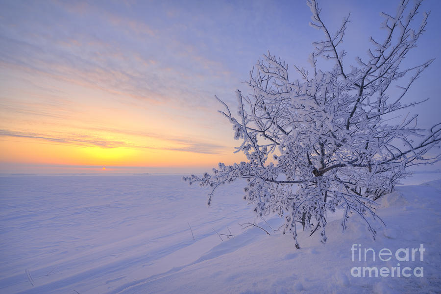 Winter Photograph - Spring morning by Dan Jurak