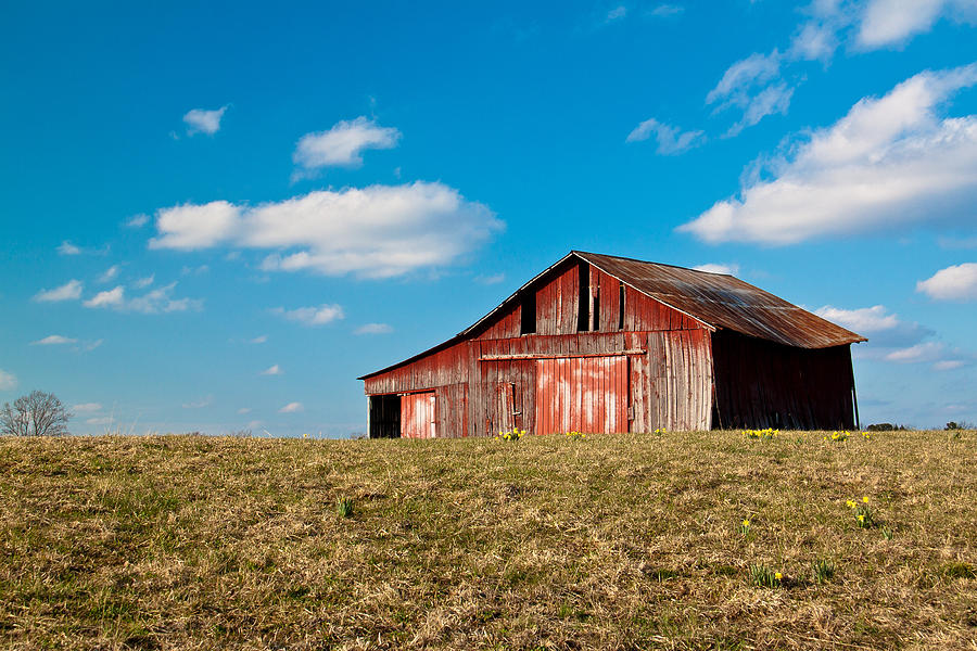 Spring On The Farm Photograph by Angela Moore - Fine Art America