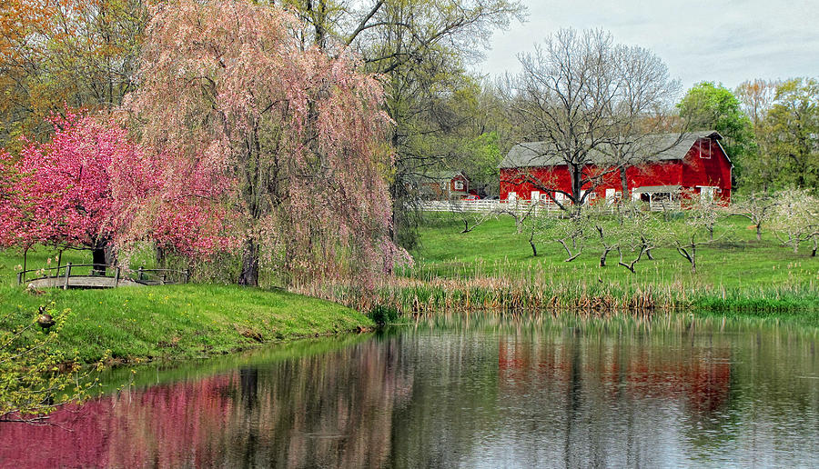 Spring On The Farm Photograph by Dave Mills