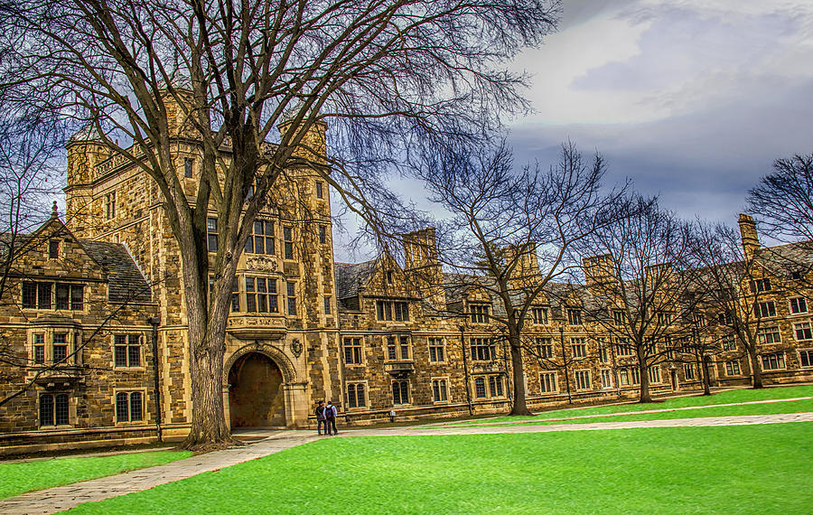 Spring Photograph - Spring on the Law Quad by Pat Cook