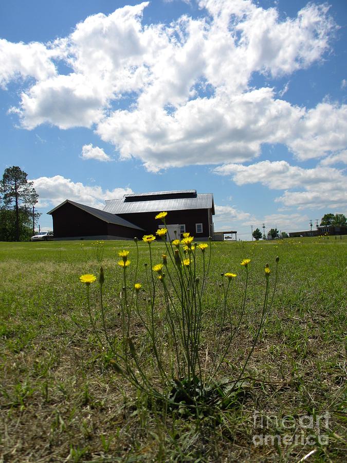 Spring On The Old Farm Photograph by Matthew Seufer