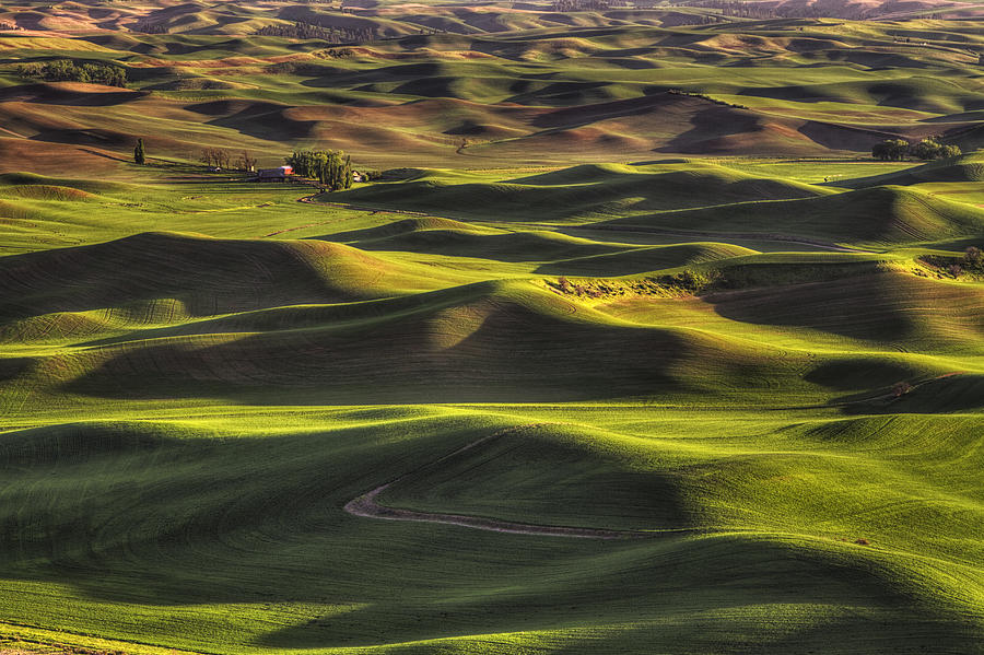 Spring on the Palouse Photograph by Mark Kiver