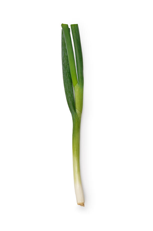 Spring Onion Photograph by JohnGollop