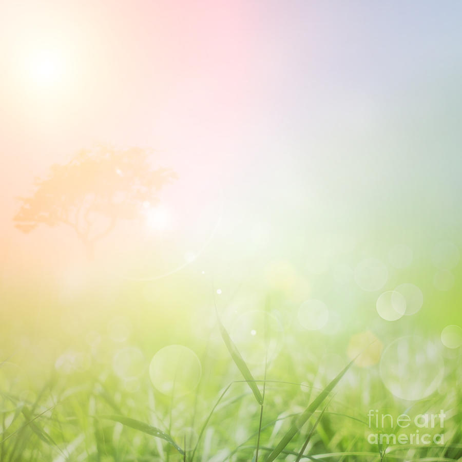 Abstract Digital Art - Spring or summer nature sunset background by Mythja Photography