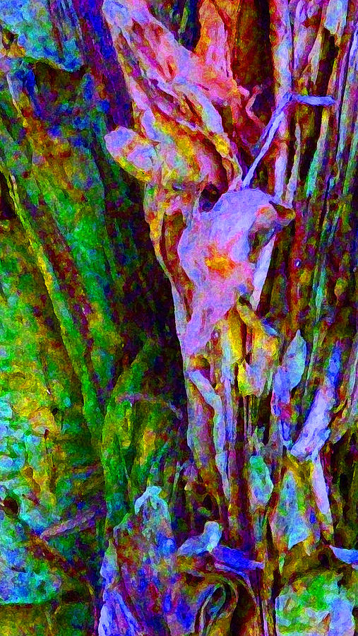 Spring Paperbark Tree Abstract  Photograph by Margaret Saheed