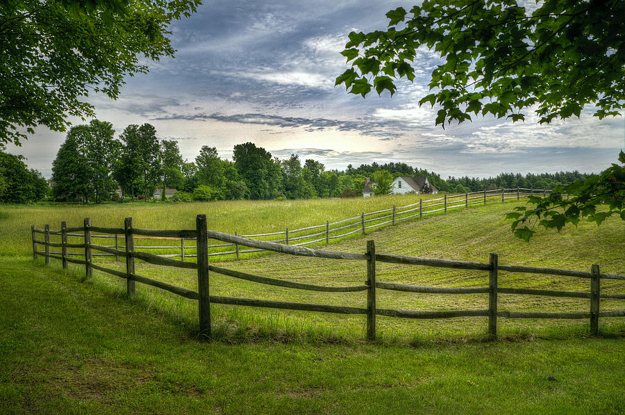 Spring Pasture Photograph by Lee Fortier - Fine Art America