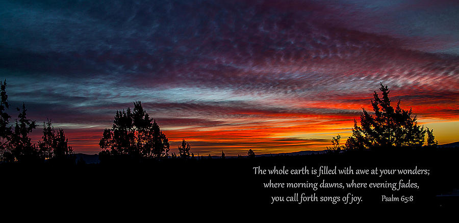 Spring Peaceful Morning Sunrise Bible Verse Photography Photograph by Jerry Cowart