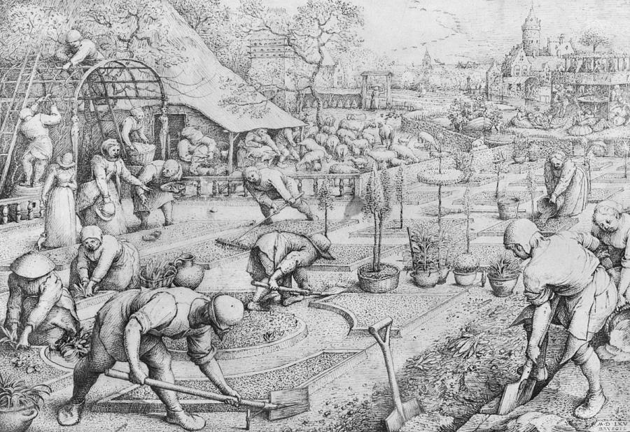 Spring Drawing - Spring by Pieter the Elder Bruegel
